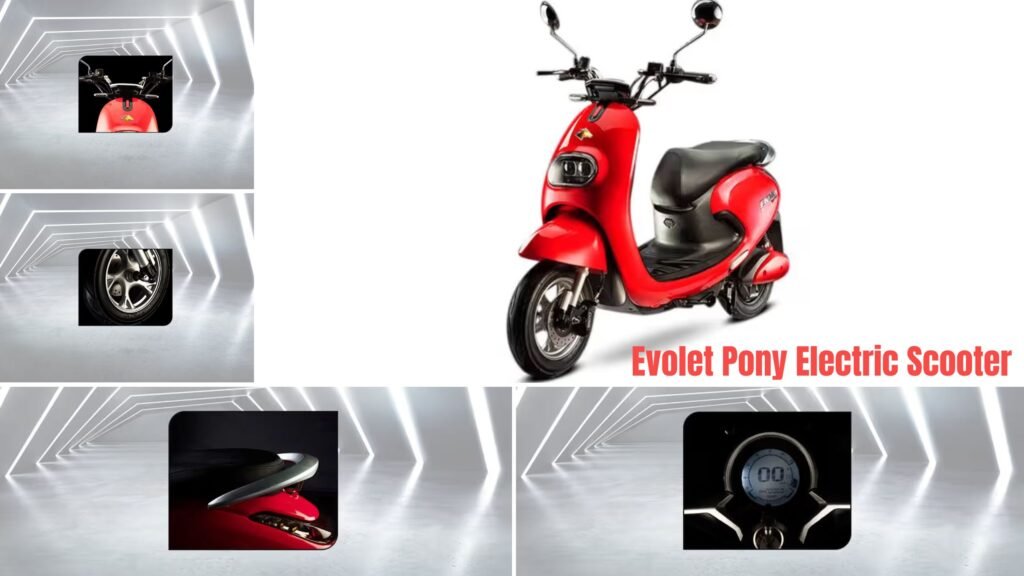 Evolet Pony Electric Scooter