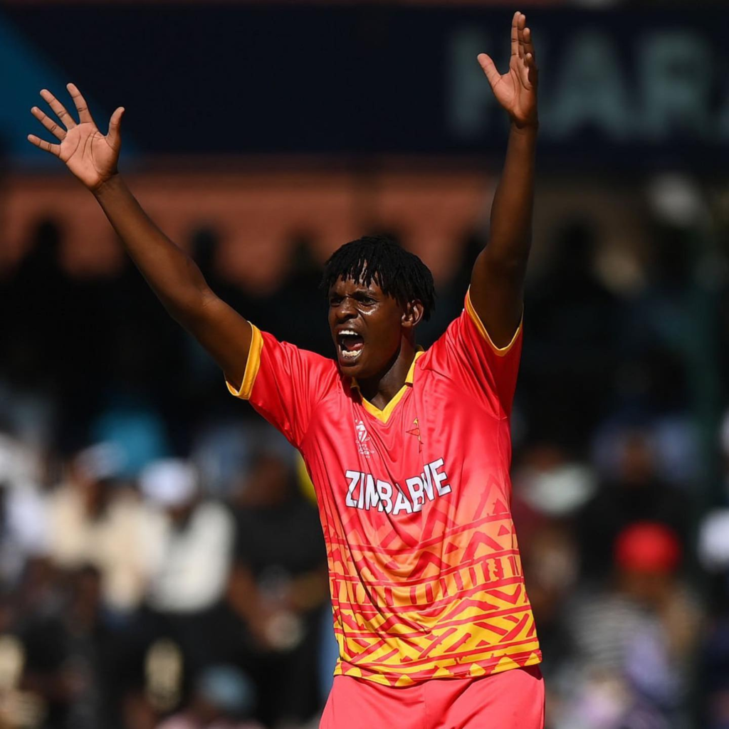 Professional Cricket